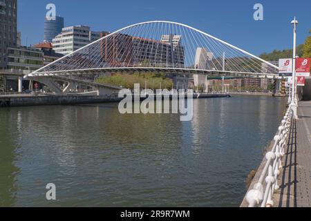 Spagna, Paesi Baschi, Bilbao, Zubizuri o Ponte bianco, passerella ad arco sul fiume Nervion progettata da Santiago Calatrava e aperta nel 19 Foto Stock