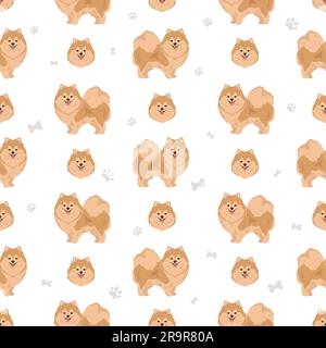 Pomerania tedesco spitz modello senza giunture. Pose diverse, colori del rivestimento. Illustrazione vettoriale Illustrazione Vettoriale