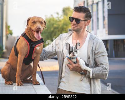 Cane affascinante, cucciolo grazioso e uomo attraente su una passeggiata. Paesaggio urbano sullo sfondo delle automobili. Primo piano, all'aperto. Luce diurna. Concetto di automobile Foto Stock