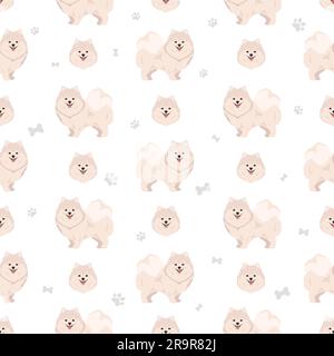 Pomerania tedesco spitz modello senza giunture. Pose diverse, colori del rivestimento. Illustrazione vettoriale Illustrazione Vettoriale