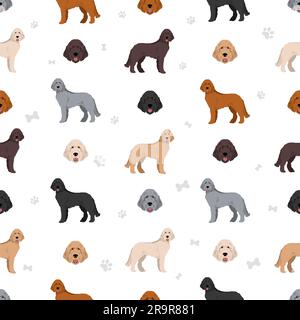 Modello standard senza cuciture a poodle. Pose diverse, colori del rivestimento. Illustrazione vettoriale Illustrazione Vettoriale