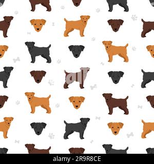 Patterdale terrier capelli rotti motivo senza cuciture. Tutti i colori del rivestimento sono impostati. Illustrazione vettoriale Illustrazione Vettoriale