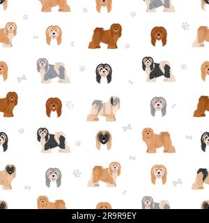 Modello senza cuciture Tibetan Terrier. Pose diverse, colori del cappotto impostati. Illustrazione vettoriale Illustrazione Vettoriale