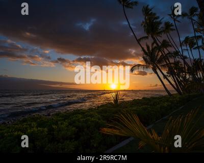 Le bellissime palme oscillano nella brezza pomeridiana lungo una spiaggia isolata sull'isola di Maui Foto Stock