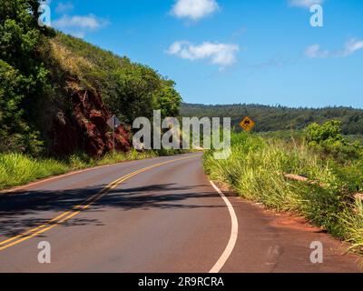 Strade curve abbracciano la costa hawaiana su questo tratto pesantemente viaggiato sulla costa occidentale di Maui Foto Stock