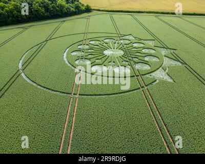 Un cerchio prodotto, una formazione di prodotto o un cerchio di mais è un modello creato appiattendo un prodotto. Owslebury, Hampshire. Foto Stock