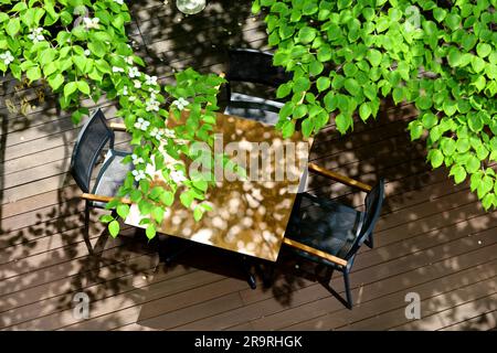 Terrazza in città coperta da lussureggianti alberi estivi Foto Stock