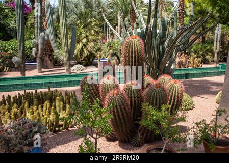 Tranquillo parco nella Nouvelle Ville di Marrakech, Marocco Foto Stock