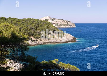 Isola di San Nicola dell'arcipelago delle Tremiti in estate, Puglia, Italia. Foto Stock