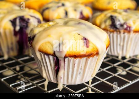 Vista ravvicinata dei muffin ai mirtilli con glassa al limone su un rack rinfrescante: Muffin ai mirtilli appena sfornati su una griglia di fili vista lateralmente Foto Stock