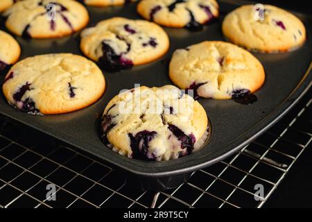 Vista ravvicinata dei muffin ai mirtilli in una padella per muffin: Muffin ai mirtilli appena sfornati in una teglia per muffin su una griglia di raffreddamento a filo Foto Stock