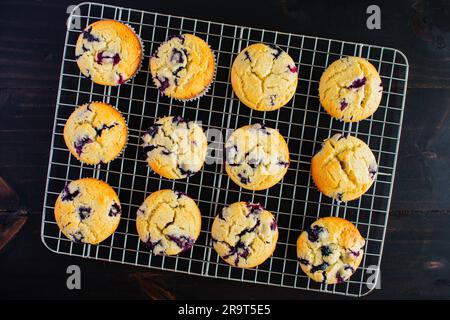 Vista dall'alto dei muffin ai mirtilli su una griglia di raffreddamento: Muffin ai mirtilli appena sfornati su una griglia di fili vista direttamente dall'alto Foto Stock