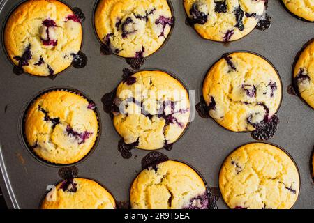 Vista ravvicinata dei muffin ai mirtilli in una padella per muffin: Muffin ai mirtilli appena sfornati in un muffin visto direttamente dall'alto Foto Stock