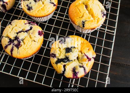 Vista ravvicinata dall'alto dei muffin ai mirtilli su una griglia di raffreddamento: Muffin ai mirtilli appena sfornati su una griglia di fili vista direttamente dall'alto Foto Stock