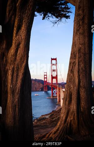 Golden Gate Bridge attraverso cipressi. San Francisco, California. Messa a fuoco selettiva. Foto Stock