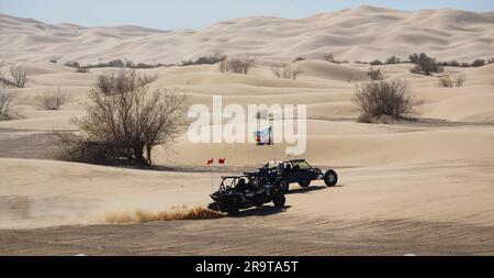 Veicoli fuoristrada nel deserto, Imperial Sand Dunes, vicino a Yuma, Arizona, Stati Uniti Foto Stock