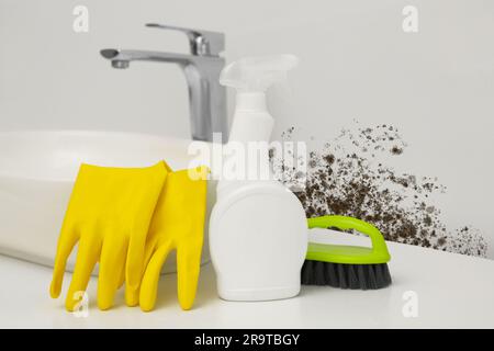 Lavello con guanti di gomma, flacone spray per la rimozione dello stampo e spazzola vicino alla parete interessata del bagno Foto Stock