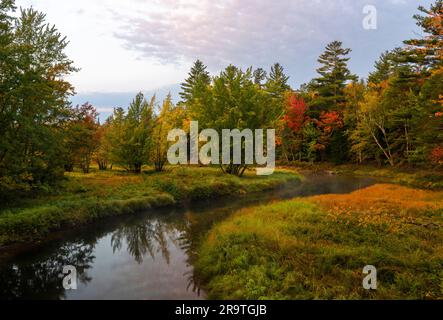 Fogliame autunnale lungo il fiume Raquette, i monti Adirondack, New York, USA Foto Stock