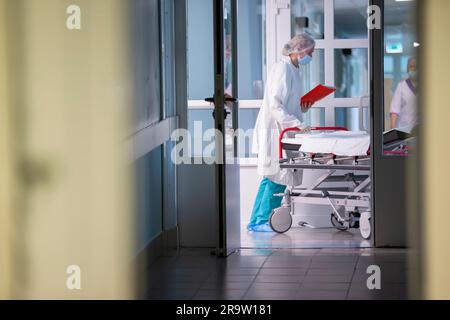 Un'infermiera spinge una barella con una barella nel corridoio dell'ospedale. Corridoio dell'ospedale. Foto Stock