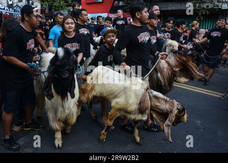 Malang, Giava Orientale, Indonesia. 29 giugno 2023. I musulmani indonesiani sfilano centinaia di bestiame (capre e mucche) prima di essere macellati, durante le celebrazioni dell'Eid al-Adha per le strade della città di Malang, Giava orientale, Indonesia, il 29 giugno, 2023.i musulmani in tutto il mondo celebrano Eid al-Adha per commemorare la disponibilità del Profeta Ibrahim a sacrificare suo figlio come segno della sua obbedienza a Dio, durante la quale sacrificano animali ammissibili, generalmente capre, pecore e mucche. (Immagine di credito: © Aman Rochman/ZUMA Press Wire) SOLO USO EDITORIALE! Non per USO commerciale! Foto Stock