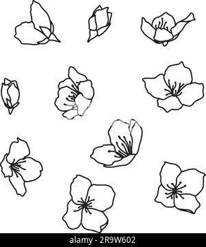 Set di doodle con elementi decorativi. Fiori semplici. Illustrazione vettoriale disegnata a mano isolata su sfondo bianco. gelsomino, ciliegia, mela, fiori di pera Illustrazione Vettoriale