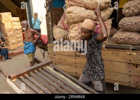 I lavoratori trasportano cipolle per le strade di Colombo, Sri Lanka Foto Stock