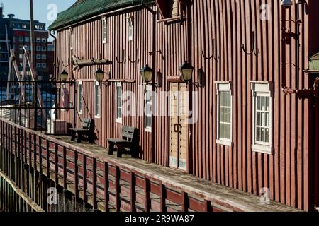 Il Polar Museum Polarmuseet, nella città di Tromso, in Norvegia Foto Stock