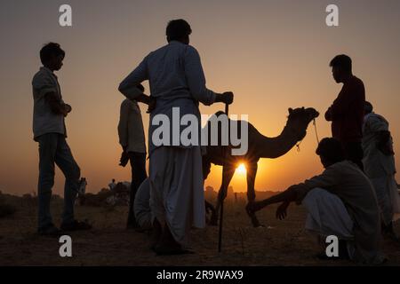 I pastori di cammelli Rabari alla Pushkar Camel Fair, India Foto Stock