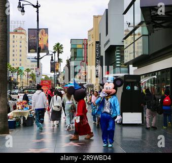 Terrazzo a cinque punte e stelle di ottone sulla Hollywood Walk of Fame con i costumi di Topolino e Mini mouse Hollywood Boulevard Los Angeles California USA Foto Stock