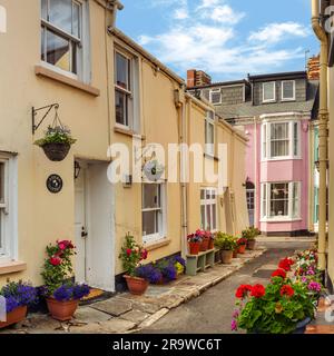 I fiori fiancheggiano il "percorso", una delle molte stradine strette del pittoresco villaggio costiero di Appledore, nel North Devon. Foto Stock