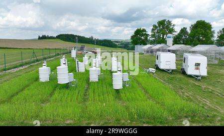 Misurazione scientifica respirazione frumento agricoltura comune campo Triticum aestivum scienza del suolo stazione scienziato tecnologia di lavoro terra di lavoro su di Foto Stock