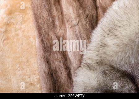 Pelle di pecora bionda, volpe blu e pellicce di visone rosso zibellino Foto Stock