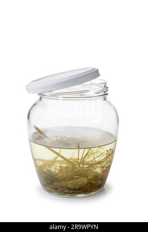 Un paunchy aprire il vasetto di vetro con alcuni cetriolini e liquido interno Foto Stock