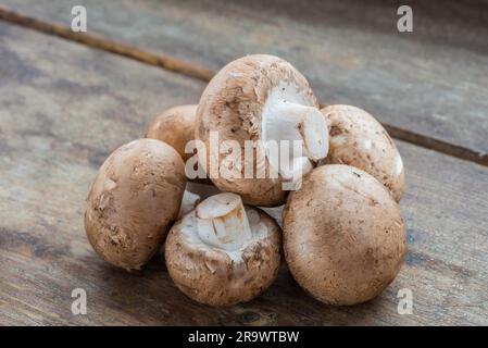 Funghi freschi (Agaricus bisporus), su legno Foto Stock