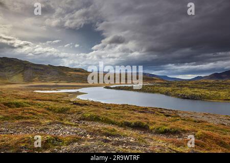 Vista di un lago nel mezzo di un campo di lava, a Berserkjahraun, vicino a Stykkisholmur, sulla penisola di Snaefellsnes, Islanda occidentale. Foto Stock