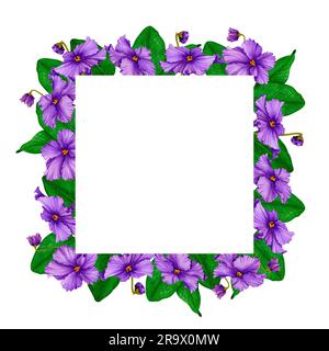 Cornice quadrata di violette africane (saintpaulia). Acquerello disegnato a mano. Design per cartolina, invito, saluto, stampa, logo, etichetta. San Valentino, Foto Stock