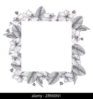 Cornice quadrata di violette africane (saintpaulia). Grafica disegnata a mano. Design per cartolina, invito, saluto, stampa, logo, etichetta. San Valentino, noi Foto Stock