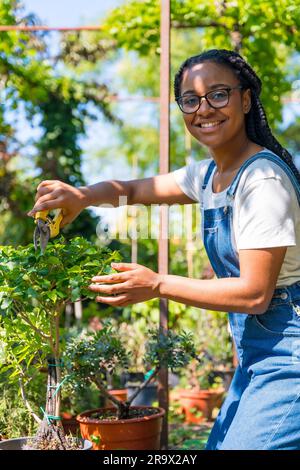 Ritratto di donna etnica nera con trecce giardiniere che lavora nel vivaio all'interno della serra tagliando gli alberi bonsai Foto Stock