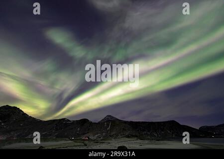 Aurora boreale (Aurora boreale) in verde e rosa sulla spiaggia di Haukland, Lofoten, Norvegia Foto Stock