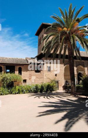 Giardini Partal, Jardines del, Arabian, Alhambra, Granada, Andalusia, Spagna Foto Stock