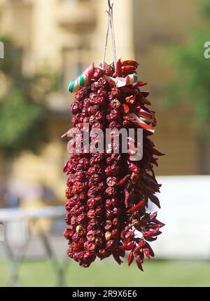 Enorme mazzo di peperoncini rossi secchi appesi a una bancarella in un mercato agricolo di cibo di strada a Praga, Repubblica Ceca Foto Stock