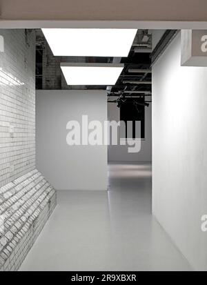 Studio bianco. Victoria House Basement, Londra, Regno Unito. Architetto: na , 2021. Foto Stock