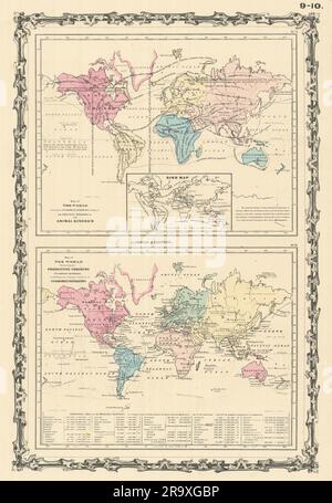 Mondo. Animali uccelli. Navigazione Commerce Industries. JOHNSON 1861 vecchia mappa Foto Stock