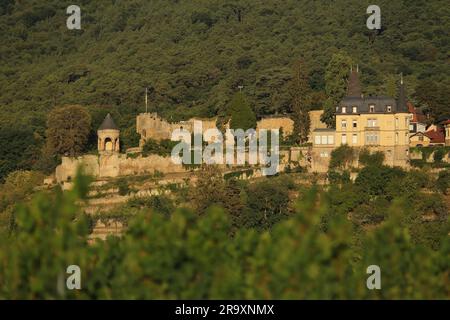 Castello di Winzingen e Castello di Haardt, Neustadt an der Weinstrasse, Foresta di Palatinato, Renania-Palatinato, Germania Foto Stock