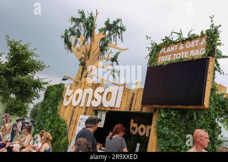 Werchter, Belgio. 29 giugno 2023. Uno stand "bonsai" raffigurato durante il primo giorno del festival musicale Rock Werchter a Werchter, giovedì 29 giugno 2023. La 47a edizione del festival si svolgerà dal 29 giugno al 2 luglio. BELGA PHOTO VIRGINIE LEFOUR Credit: Belga News Agency/Alamy Live News Foto Stock