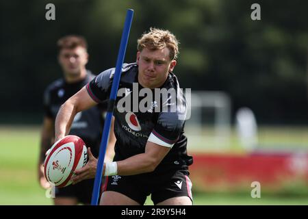 Cardiff, Regno Unito. 29 giugno 2023. Sam Costelow del Galles durante la sessione di allenamento di rugby del Galles, vale of Glamorgan giovedì 29 giugno 2023. La squadra si sta preparando per la Coppa del mondo di rugby 2023 di quest'autunno. foto di Andrew Orchard/Andrew Orchard fotografia sportiva/ Alamy Live News Credit: Andrew Orchard fotografia sportiva/Alamy Live News Foto Stock