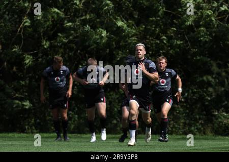 Cardiff, Regno Unito. 29 giugno 2023. Gareth Davies del Galles durante la sessione di allenamento di rugby del Galles, vale of Glamorgan giovedì 29 giugno 2023. La squadra si sta preparando per la Coppa del mondo di rugby 2023 di quest'autunno. foto di Andrew Orchard/Andrew Orchard fotografia sportiva/ Alamy Live News Credit: Andrew Orchard fotografia sportiva/Alamy Live News Foto Stock