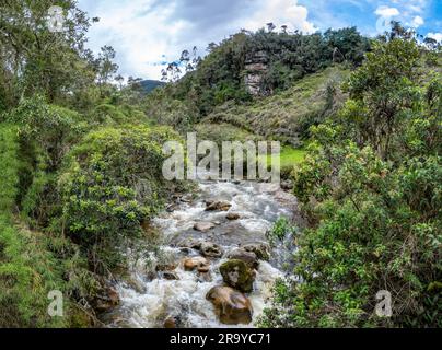 Il ruscello scorre sulle colline delle Ande orientali. Colombia, Sud America. Foto Stock