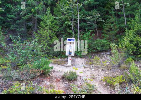 British Columbia, Canada - 6 agosto 2022: Una cabina telefonica Telus sul lato di una strada sterrata della Foresta Nazionale nella Columbia Britannica, Canada. Foto Stock