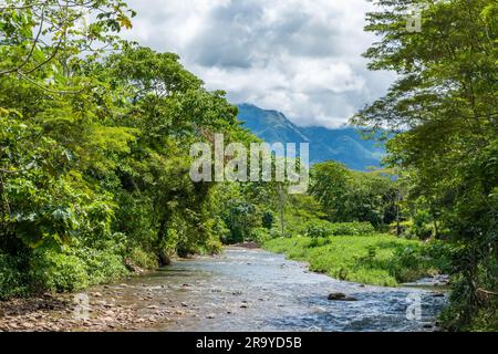 Un torrente di montagne ai piedi delle Ande orientali. Colombia, Sud America. Foto Stock